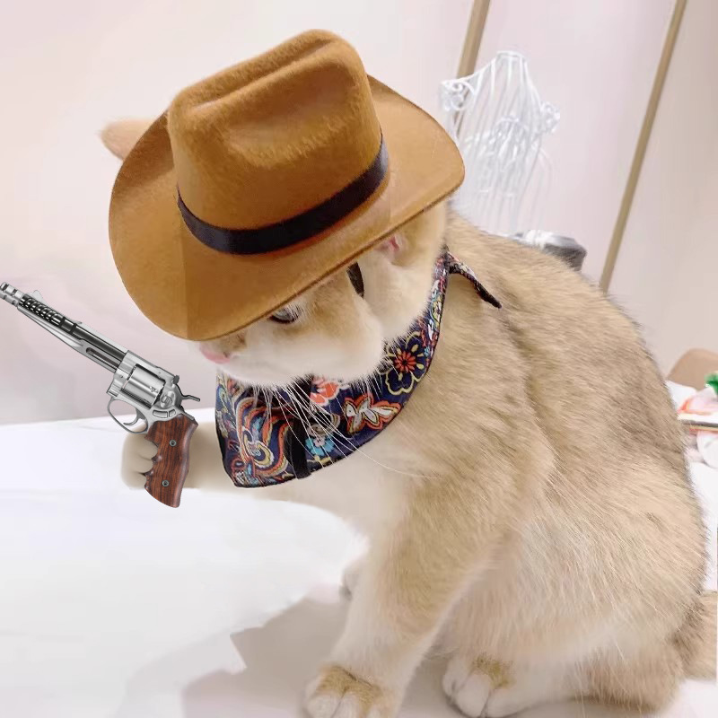 Cowboy Hat Straw - ﻿ Chapeau de Cowboy pour chat,